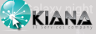 Kiana IT Services