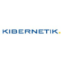 Kibernetik