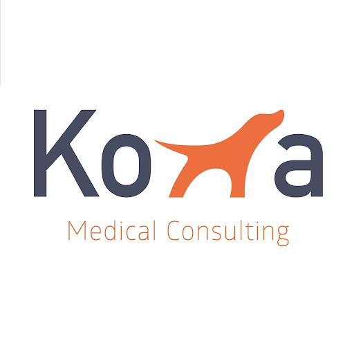 Kona Medical Consulting