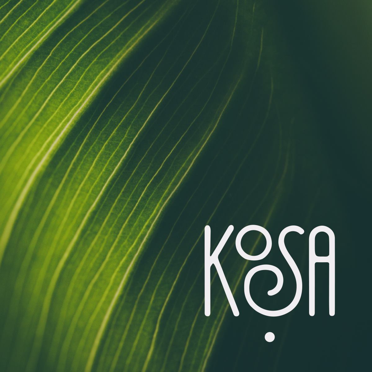 Kosa Spa