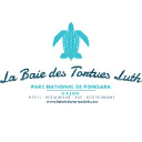 La Baie Des Tortues Luth