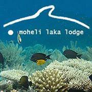 Moheli Laka Lodge