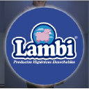 Lambi