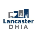 Lancaster DHIA