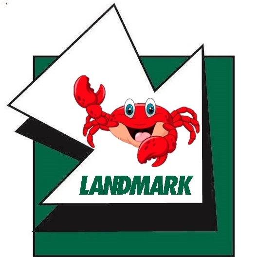 Landmark Insurance & Financial Group