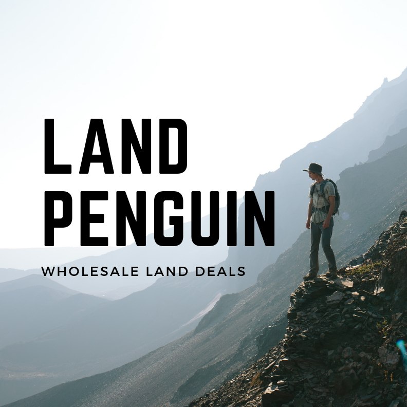 Land Penguin