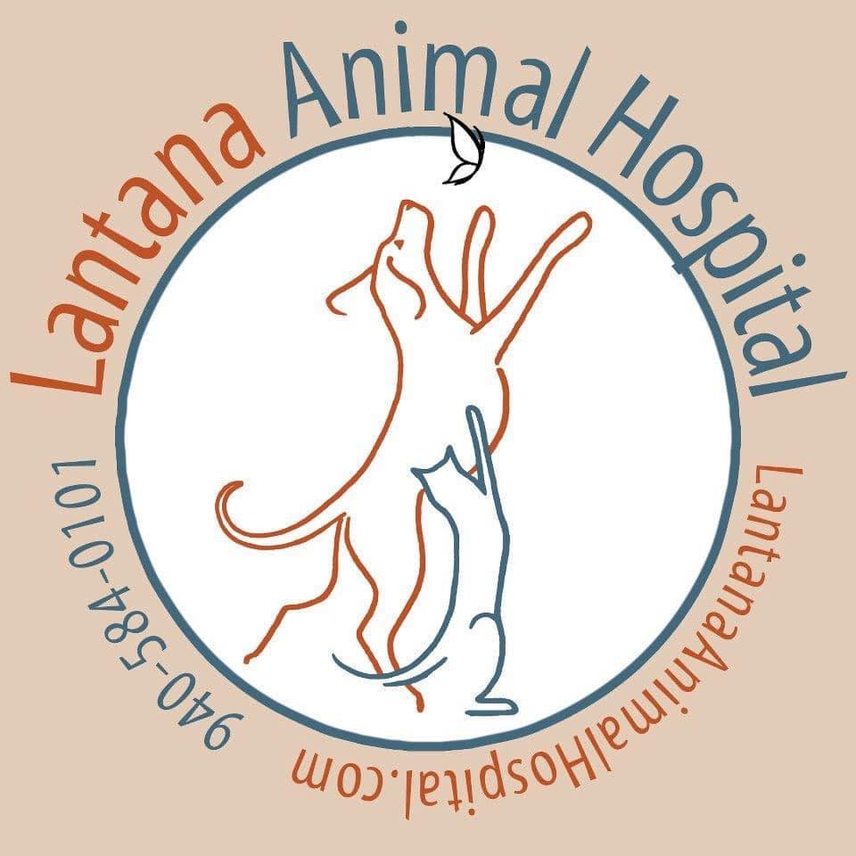 Lantana Animal Hospital