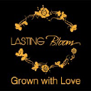 Lasting Bloom