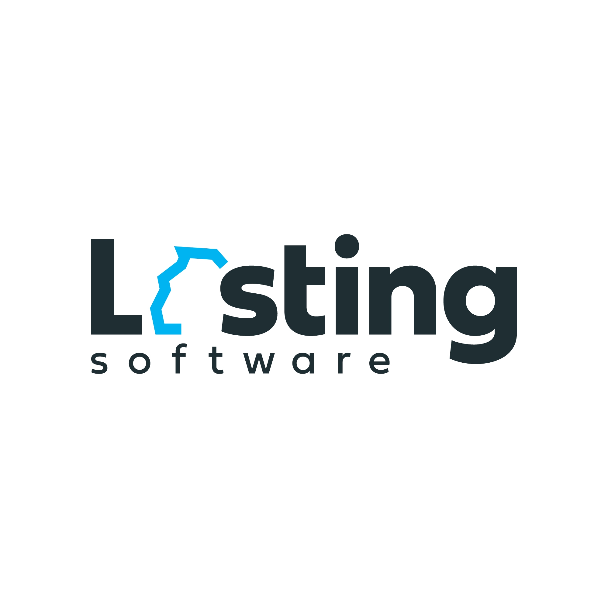 Lasting Software