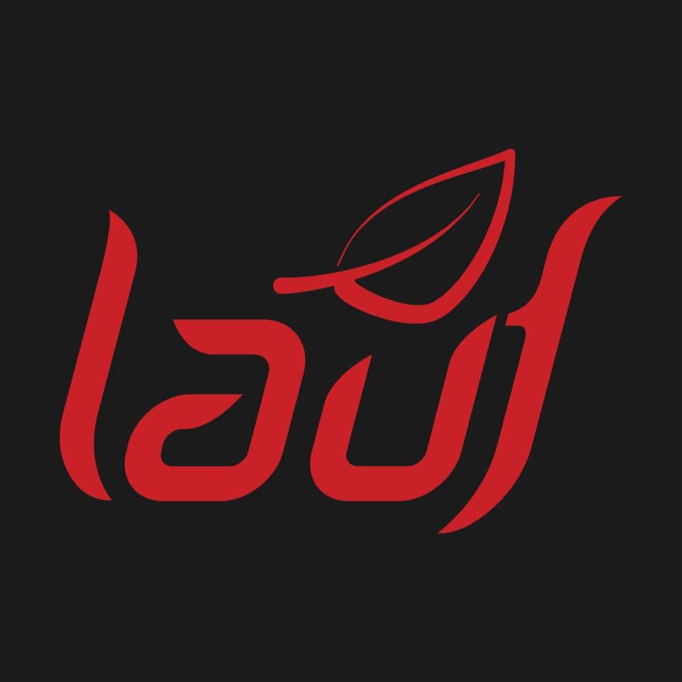 Lauf forks