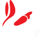 L D M Technologies