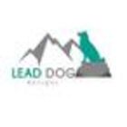 LEAD DOG DESIGNS