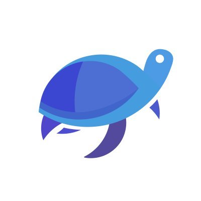 Learnturtle