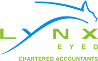 Lynx Eyed Chartered Accountant