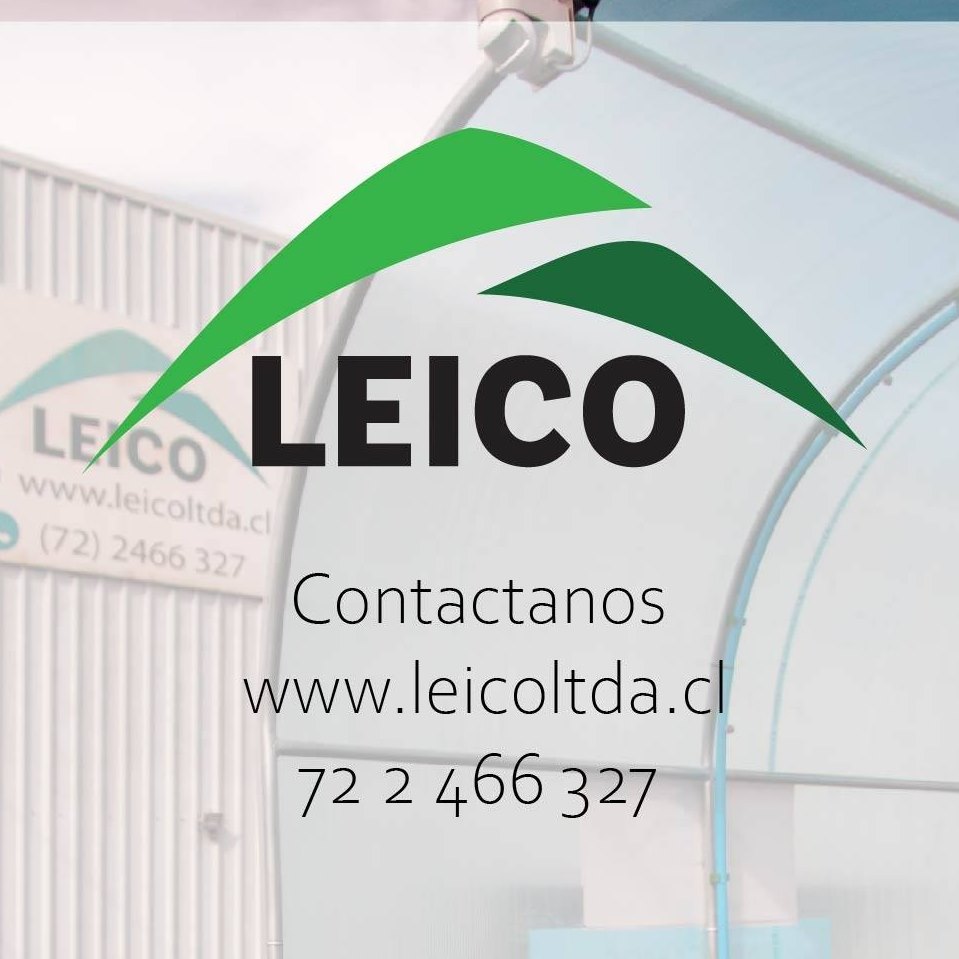 Leico Limitada