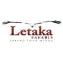 Letaka Safaris