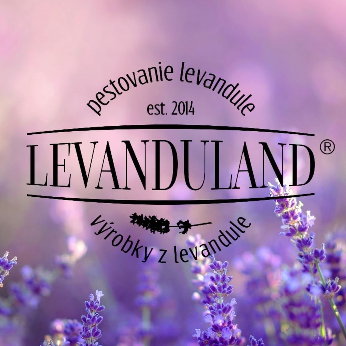 Levanduland