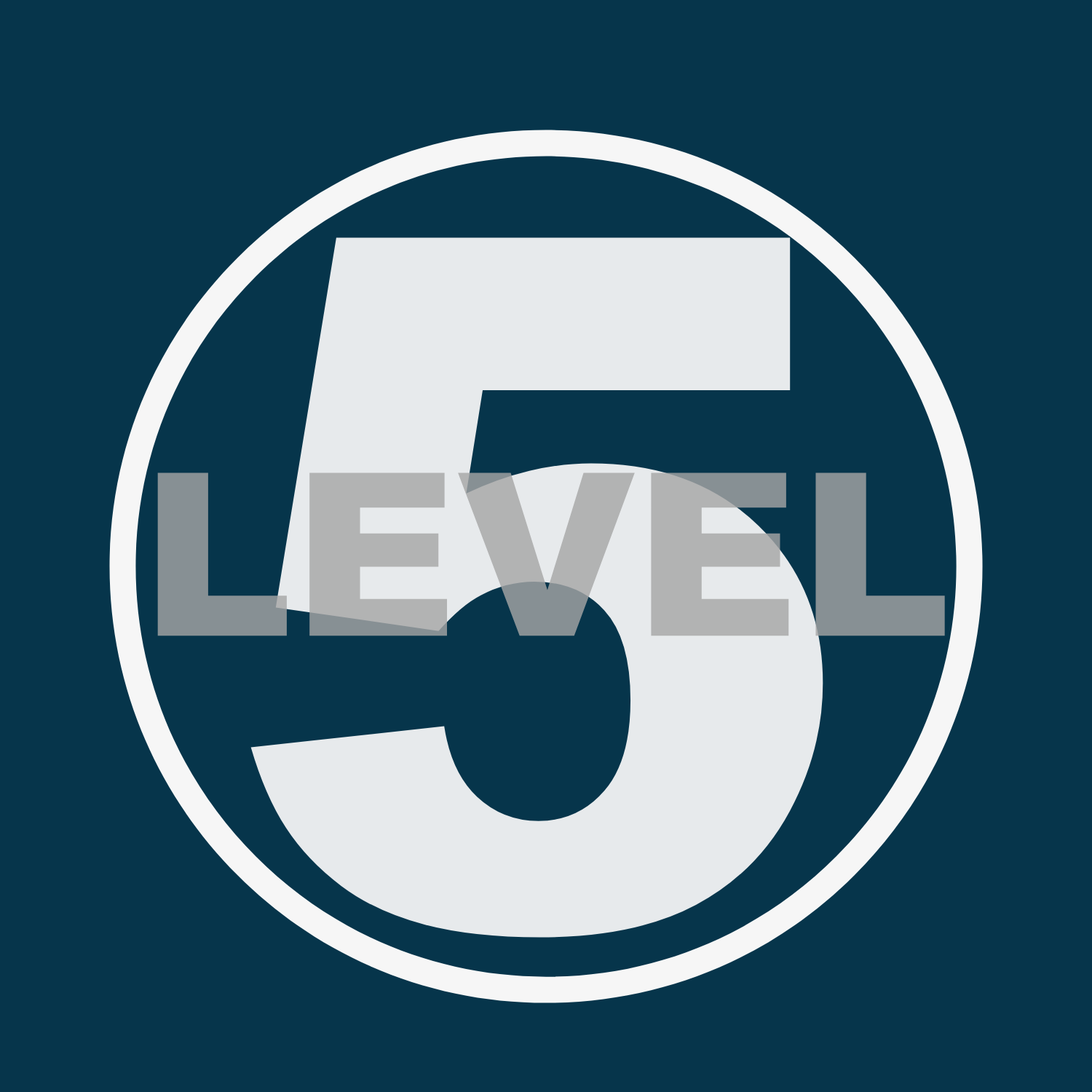 Level5 Mgmt