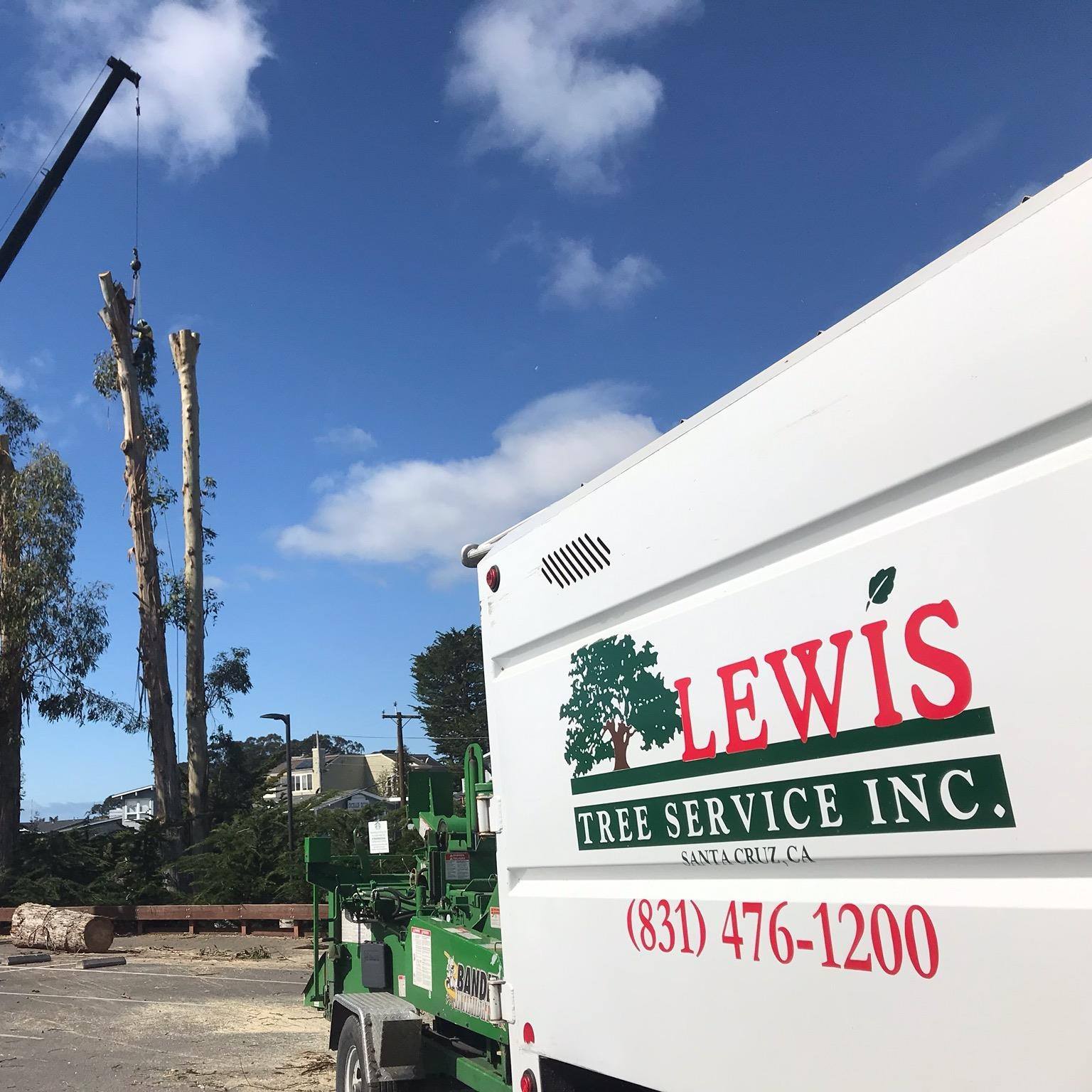 Lewis Tree Service