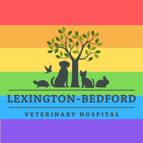 Lexington-Bedford Veterinary Hospital