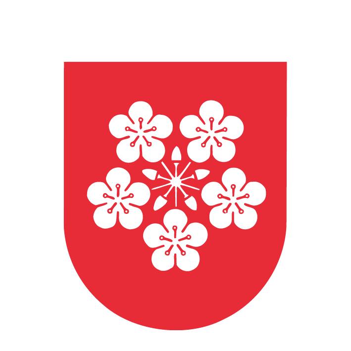 Lier kommune