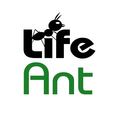 Life Ant