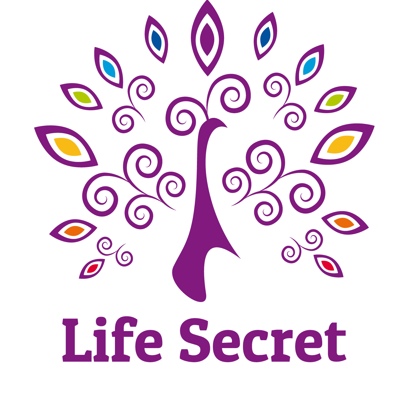 Lifesecret   Lifesecret.Co