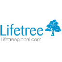 Lifetree Global