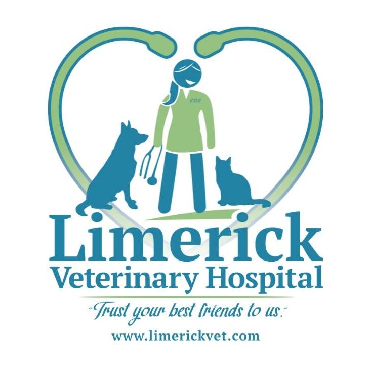 Limerick Veterinary Hospital