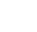 Link37