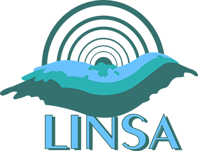 Linsa S.L.