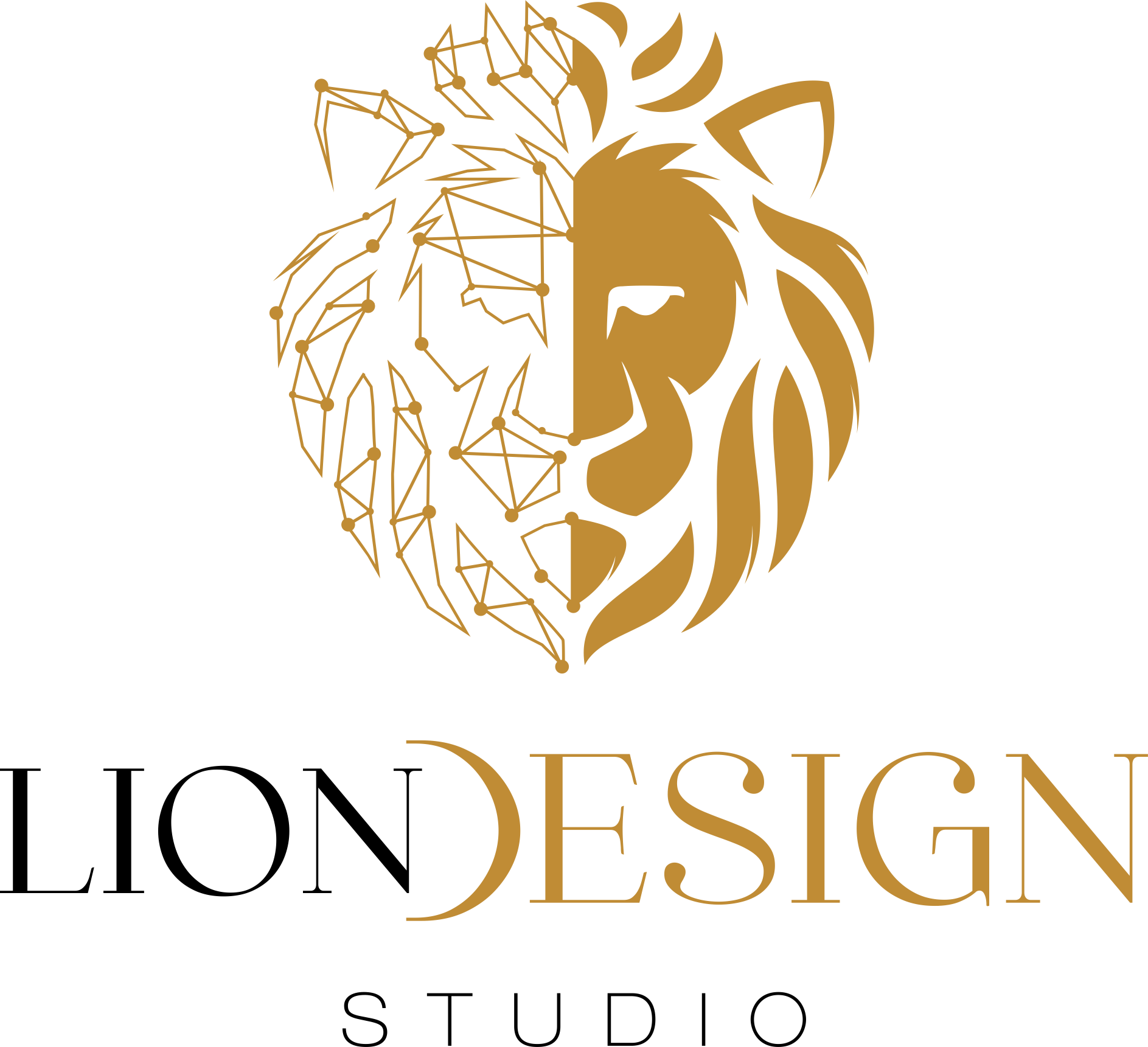 Lion Design Studio