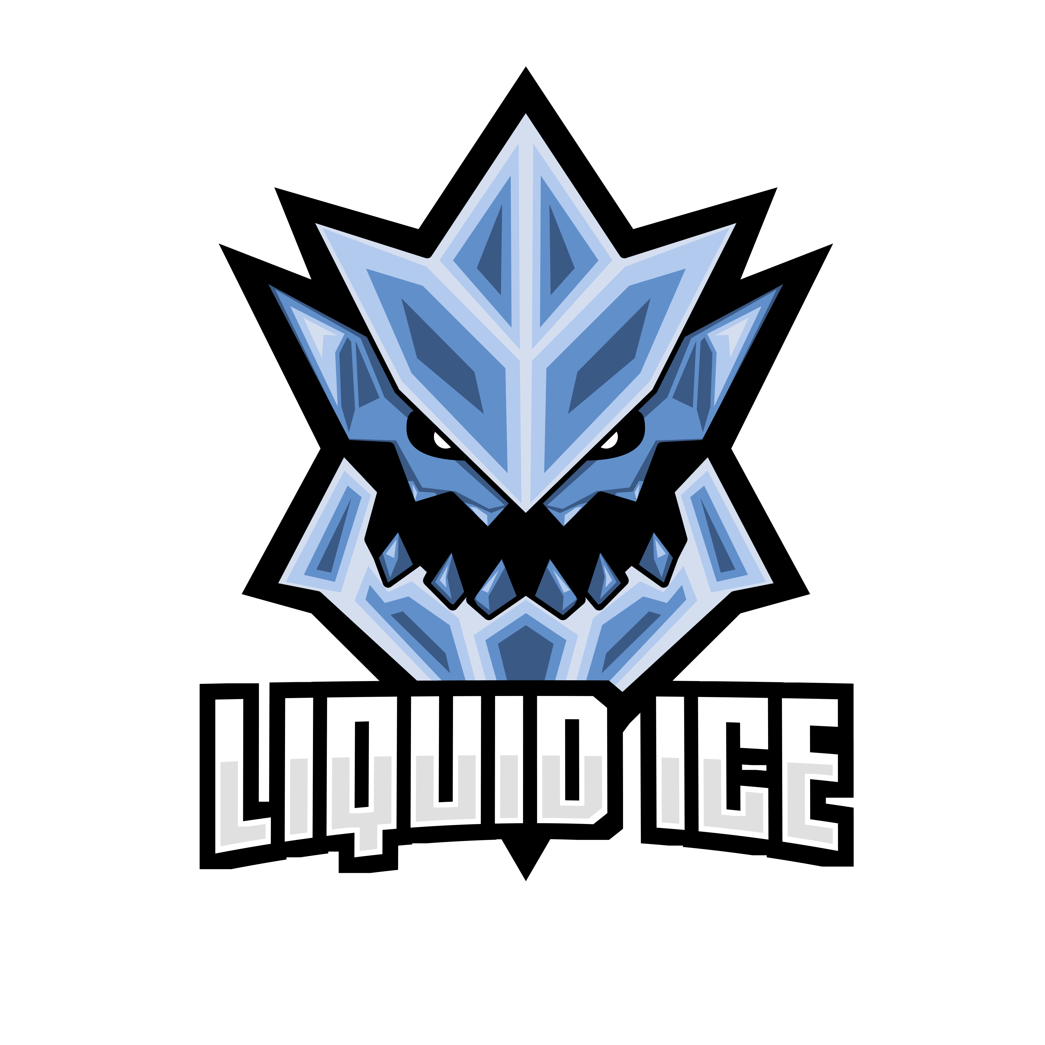 Liquid Ice Studios