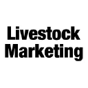 Livestock Marketing