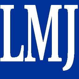 LMJ Consulting