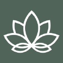 Lotus Innovations