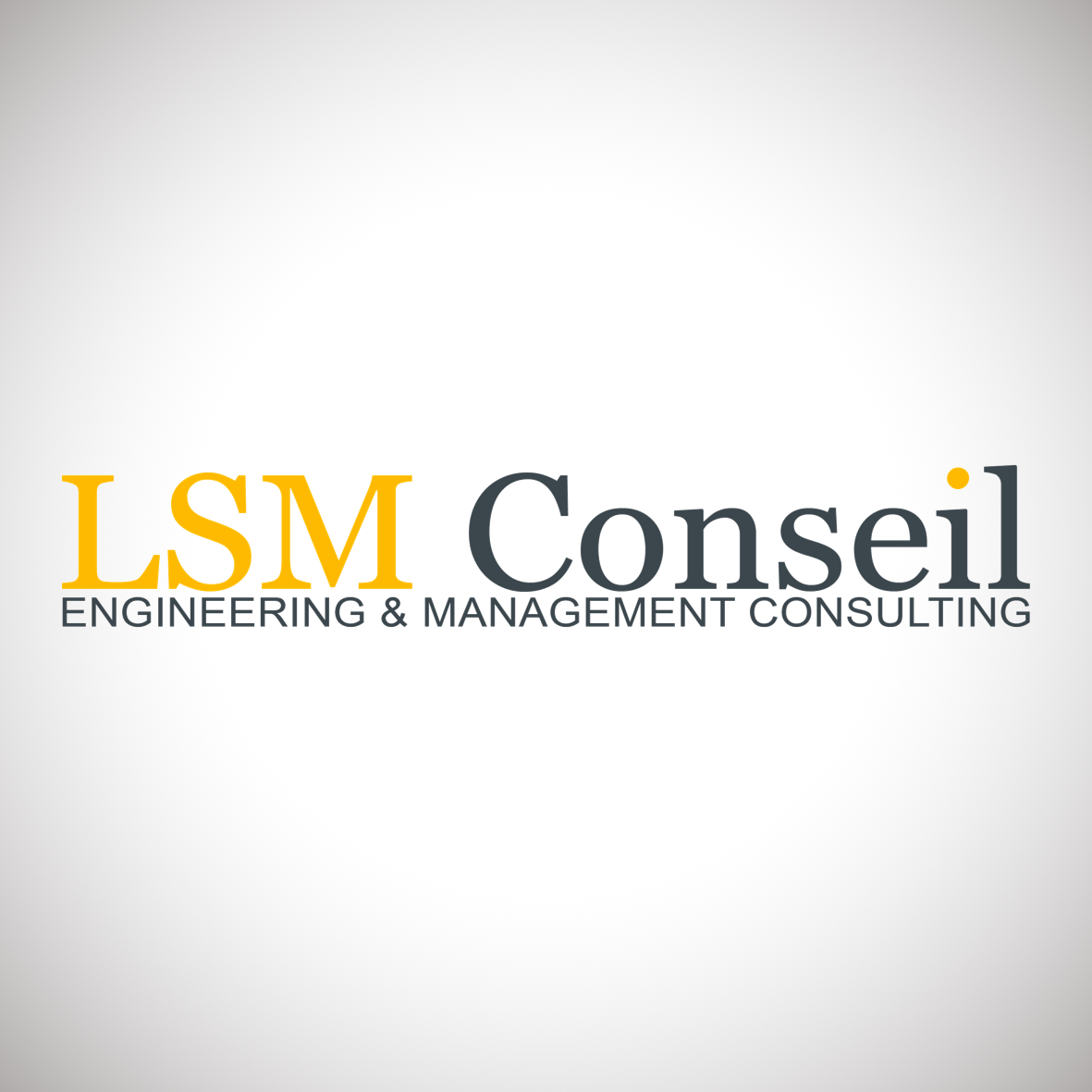 LSM Conseil