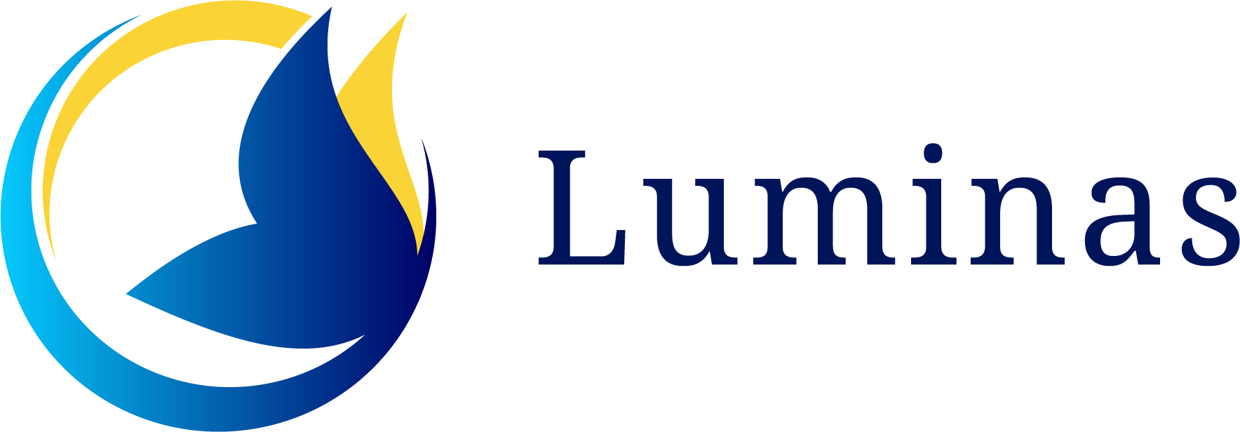 Luminas, Llc