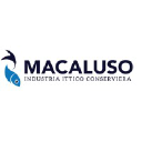 MACALUSO S.p.A