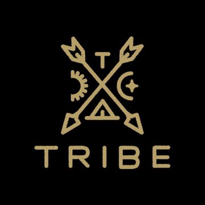 Tribe Interactive