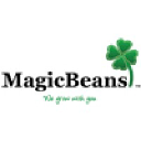 MagicBeans Web Design Studio