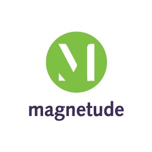 Magnetude Consulting