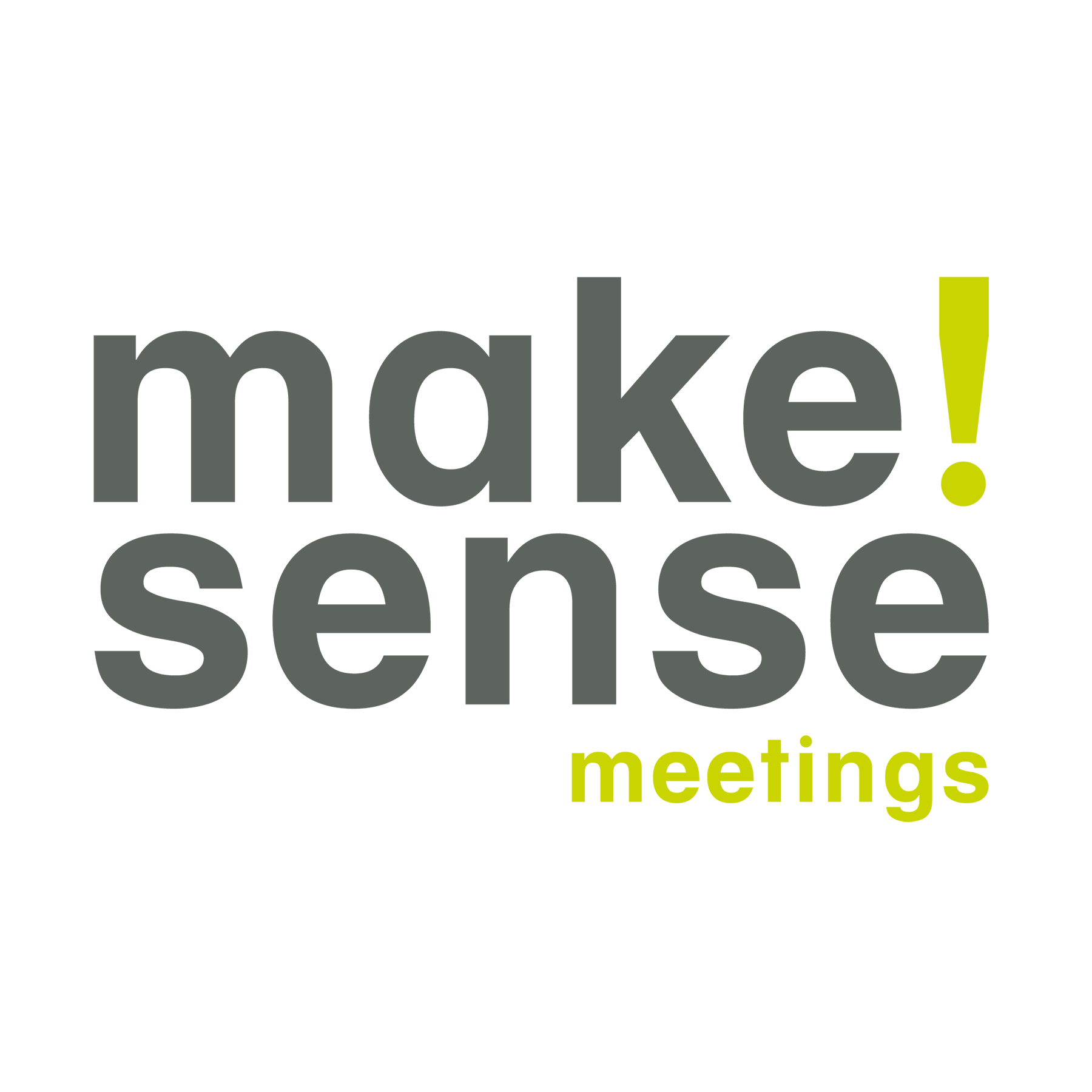 Make!Sense Meetings