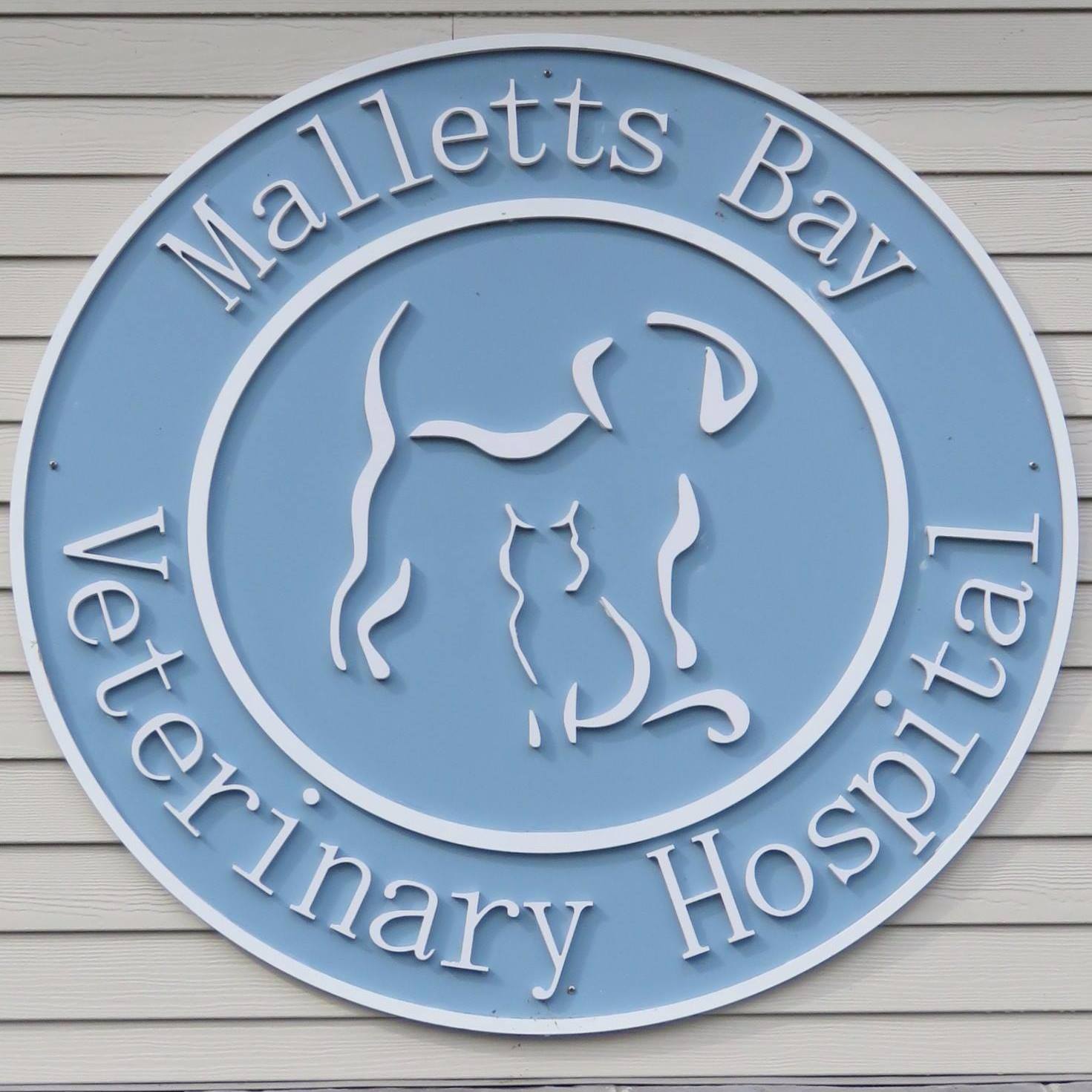 Malletts Bay Veterinary Hospital