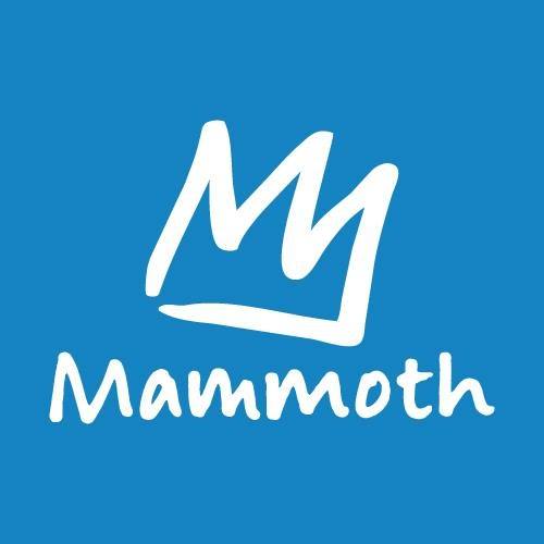 Mammoth Mountain Ski Area LLC