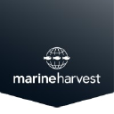 Marine Harvest Group