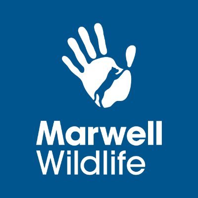 Marwell Wildlife