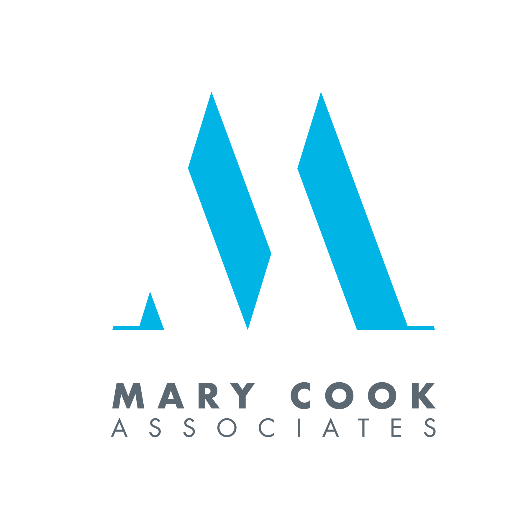 Mary Cook Associates