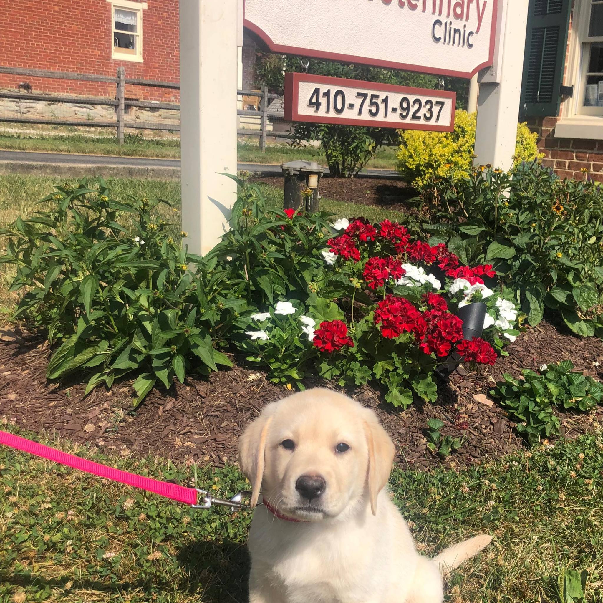 Maryland Mobile Veterinary Clinic