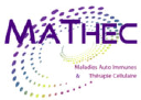 The MATHEC Association